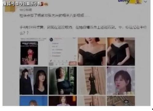 娱乐吃瓜群众张艺兴视频,揭秘娱乐圈幕后故事